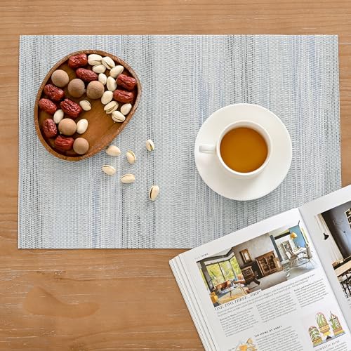 LightSteel Blue Placemats Set of 8 (8 Count)