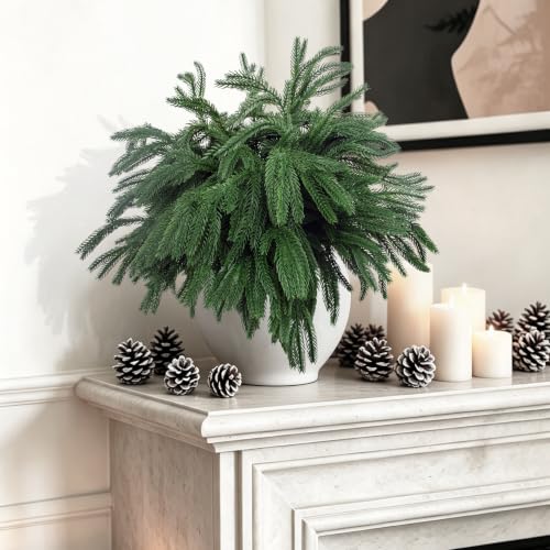 24 Pcs Artificial Norfolk Pine Branches Faux Christmas Stems (24 Count)