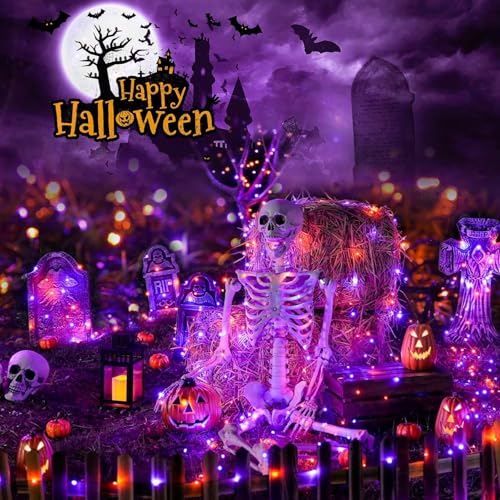 Solar String Lights Outdoor (6 Count)