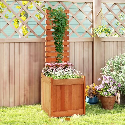 Raised Garden Bed with Trellis & Open