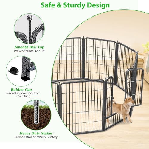 Decorative Black Metal Fencing Garden Fence with Gate