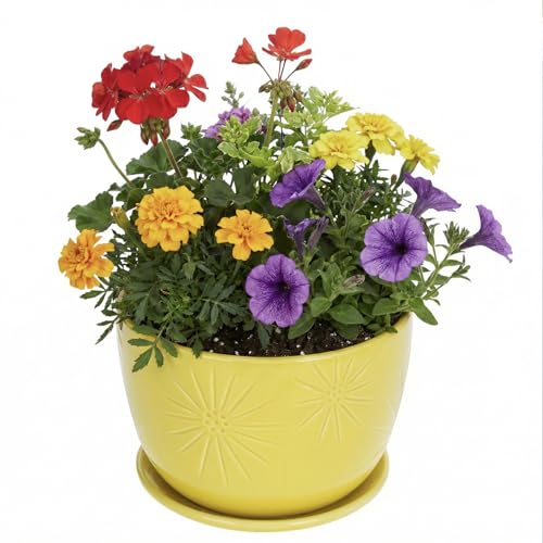 7 Inch Yellow Ceramic Planter Pot with Sunburst Design & Saucer