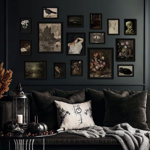 16 PCS Dark Academia Room Decor (16 Count)