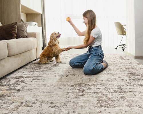 5x7 Area Rug Living Room Rugs