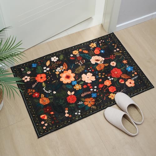 Door Mat 2x3 Area Rug Washable