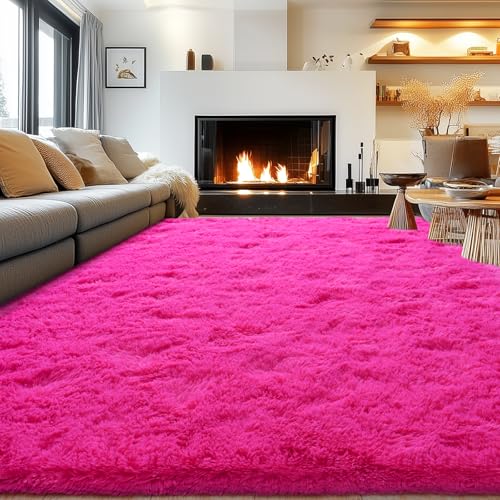 Soft Fluffy Rug for Living Room Bedroom