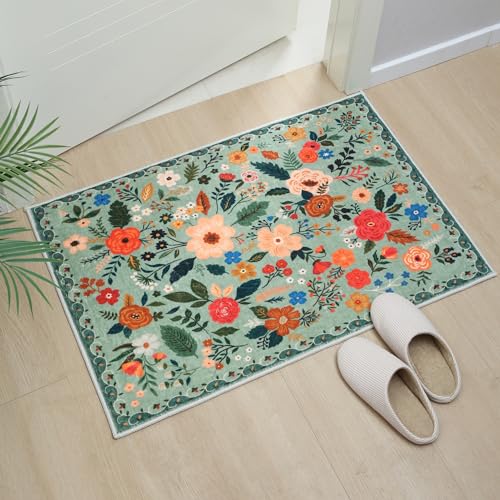 Door Mat 2x3 Area Rug Washable