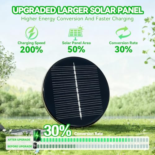 Solar Pathway Lights Outdoor