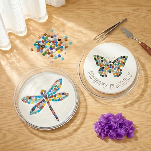 5PCS Stepping Stone Kit Includes Round Cement Molds (5 Count)