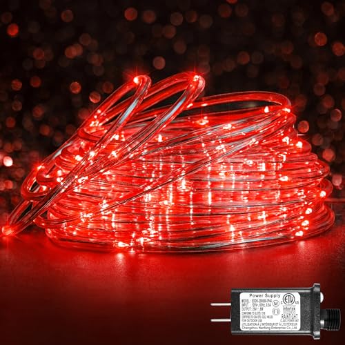 66FT 200 LED Rope Lights for Outside