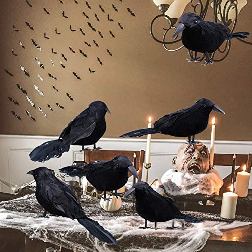 6 Pack Halloween Black Feathered Crows