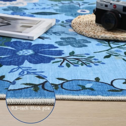Runner Rug 2x6 Washable
