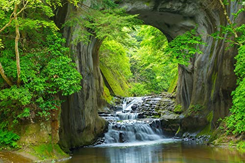 Forest Stream Wall Mural Wallpaper Large Nature Scenery