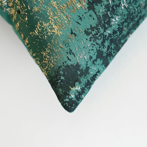 Modern Spring Throw Pillow Covers 20x20