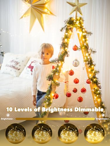 2 Pack 40FT 120LED Fairy Lights Battery Operated Lights Remote Warm White (2 Count)