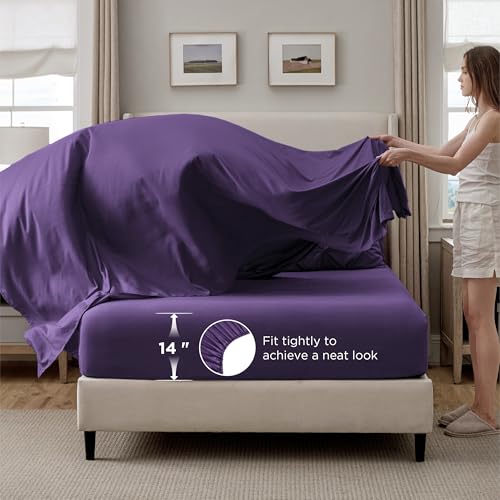 7 Piece California King Comforter Set & Sheets