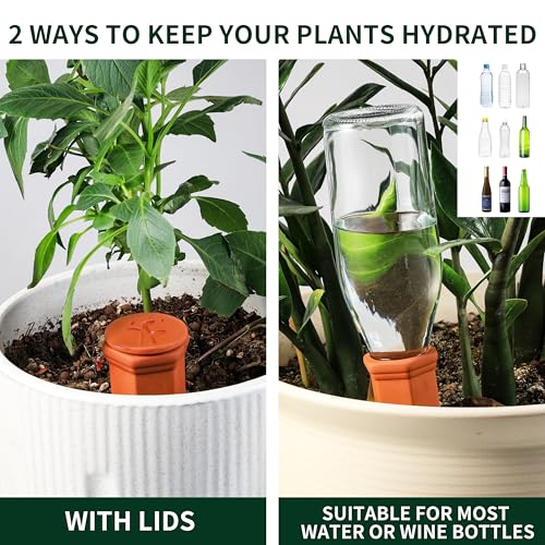 Large Terracotta Watering Spikes with Lids (4 Count)