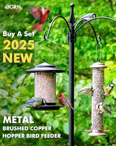 Metal Bird Feeders for Outdoors Hanging