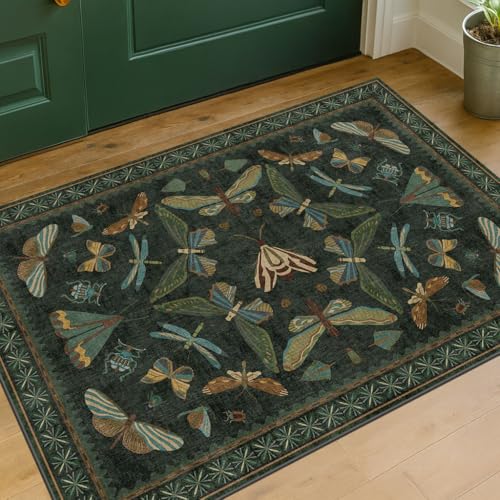 2x3 Entry Way Rugs Indoor (6 Sq Ft)