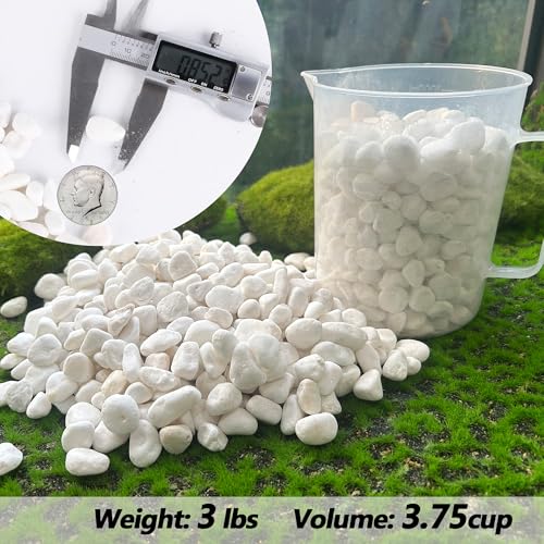 Decorative Garden Pebbles (48 Ounce)