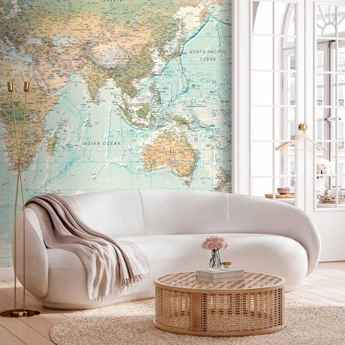 Wall Mural World Map 116x83 in (66.41 Sq Ft)