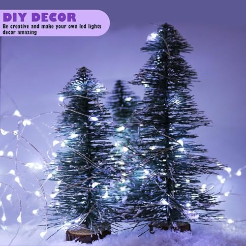 6 Pack Fairy Lights Battery Operated (6 Count)