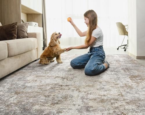 9x13 Area Rug Living Room Rugs Washable Neutral Brown Grey Carpet (24 Count)