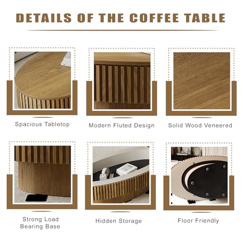 Oval Coffee Table with Storage Modern Coffee Table with Solid Wood Veneered