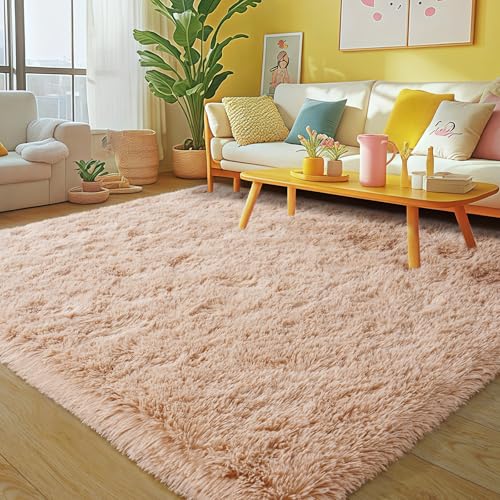 Fluffy Rug for Living Room Bedroom Soft Modern Shaggy Fuzzy Kids for Living Room