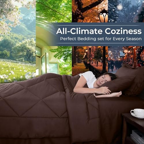 7 Piece Oversized King Comforter Set