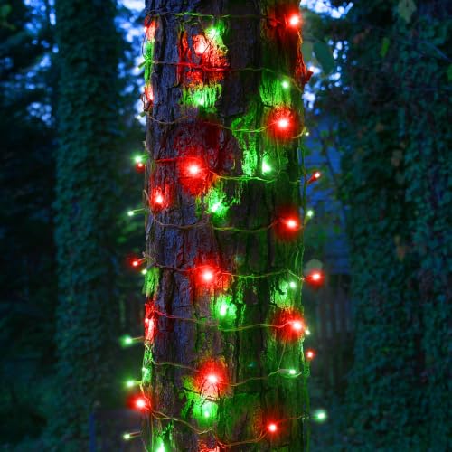 Red and Green Christmas String Lights