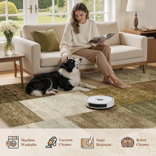 6x9 Area Rug for Living Room (56 Sq Ft)