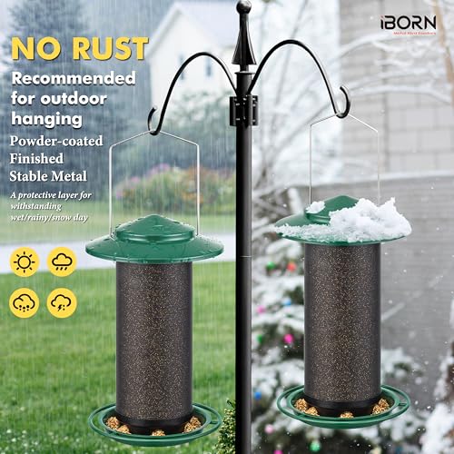 Bird Feeders for Outdoors