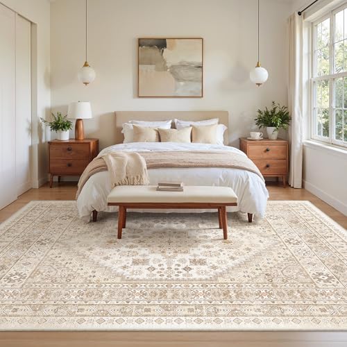 6x9 Area Rugs for Living Room