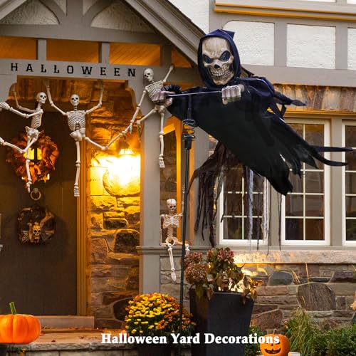 Outdoor Halloween Skeleton Decorations
