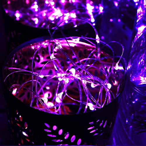 6 Pack Fairy Lights Battery Operated 10ft Silver Wire 30 LEDs Purple (6 Count)