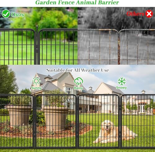 Decorative Black Metal Fencing Garden Fence with Gate
