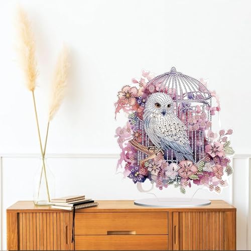 Diamond Painting Kits for Adults Beginners