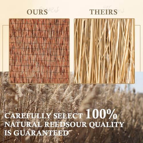 Brown 2 Pack 6FT X16.4FT Reed Fencing Roll Bamboo Privacy Screen (196.8 Sq Ft)