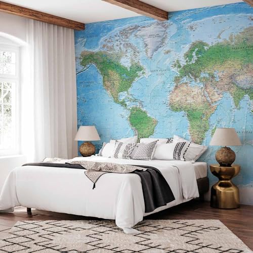 Wall Mural World Map 116x83 in (66.41 Sq Ft)