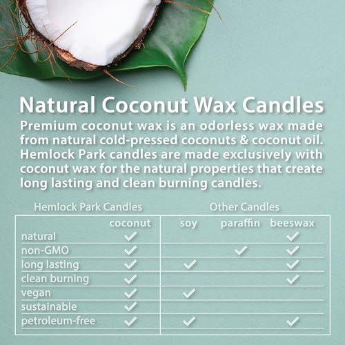 Bamboo Grapefruit Amber & Gold Wood Wick Candle