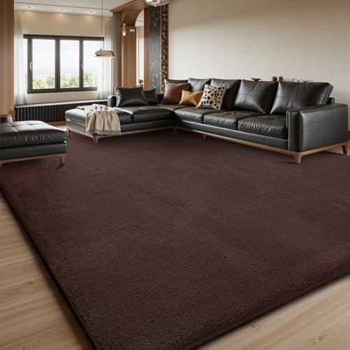 6x9 Area Rugs for Living Room Bedroom