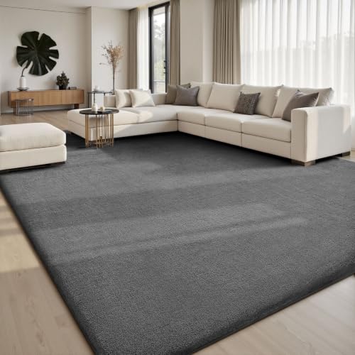 8x10 Area Rugs for Bedroom Living Room