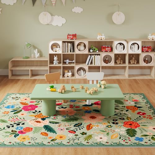 Area Rug 6x9 Washable