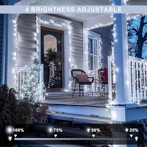 132 ft 400 LED White Christmas Lights Indoor Outdoor (132 Foot)