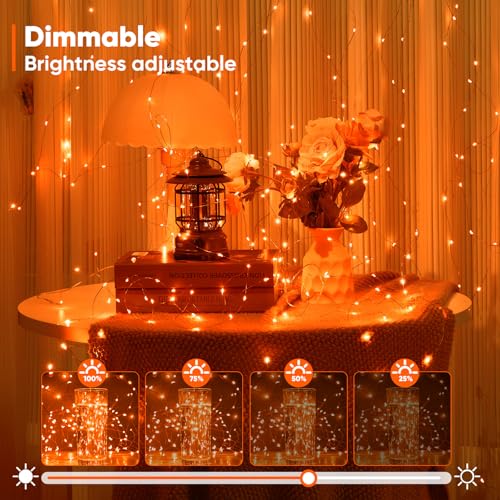 2 Pack 65.6 Ft. Battery Operated Outdoor String Lights with Remote & Timer (2 Count)