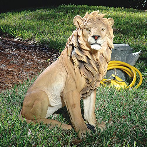 King of Beasts Lion Indoor