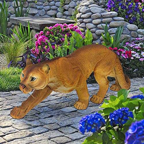 Prowling American Mountain Cougar Indoor
