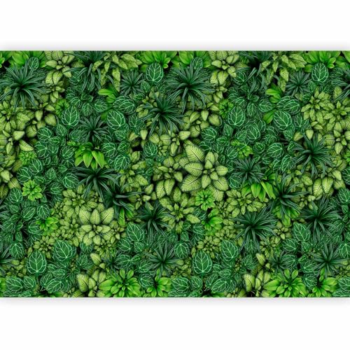 Wall Mural Wallpaper (8 Count)
