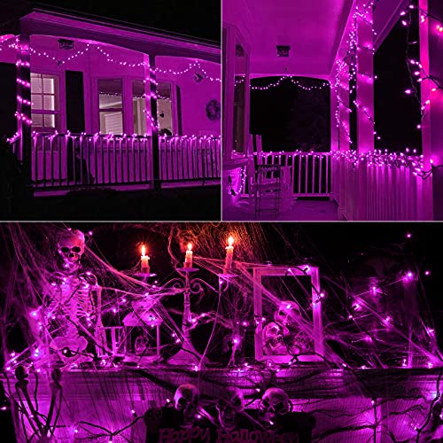 Purple Halloween Lights (33 Foot)